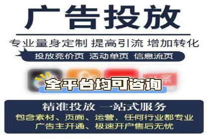 SEO策略在电商平台的成功应用案例